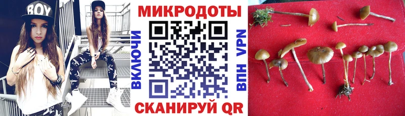 где купить наркоту  Тавда  мега ONION  Галлюциногенные грибы Magic Shrooms 