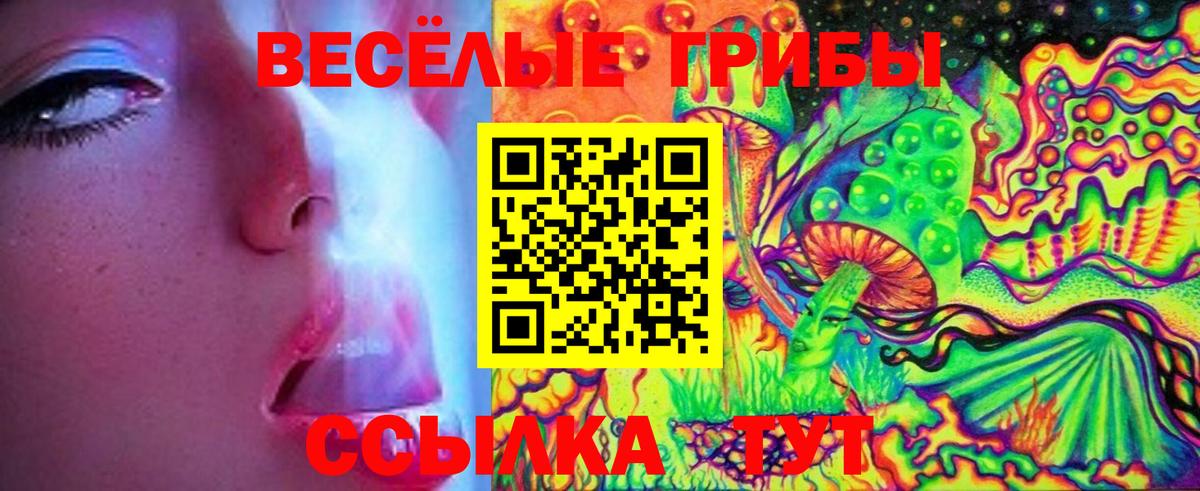 Галлюциногенные грибы Cubensis  Псилоцибиновые грибы мицелий  Тавда  Вход с VPN 